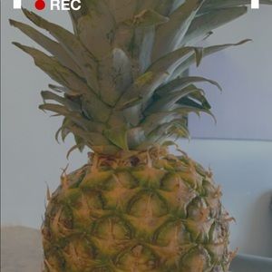 Meet your Posher, Susu